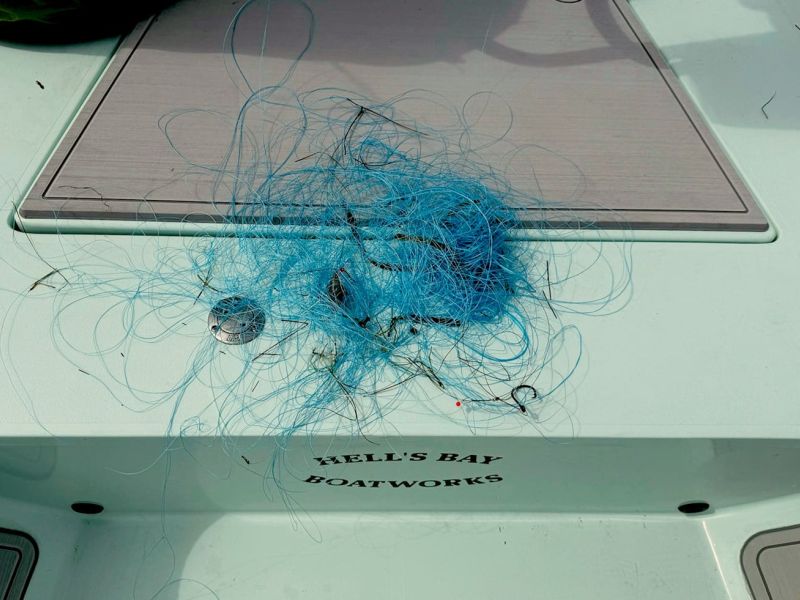 It&rsquo;s for the birds