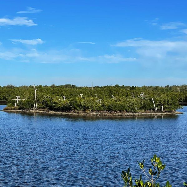 The re-making of Perico Preserve