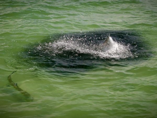 Reel Time: Get ready and get involved