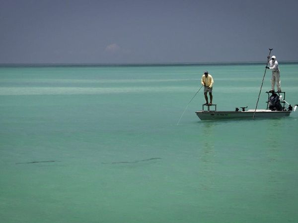 Reel Time: Tarpon time