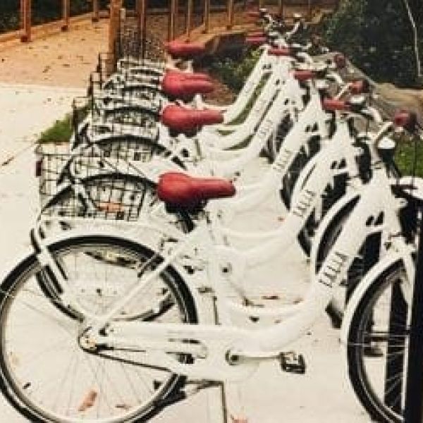 Mobility program dropped in favor of ban