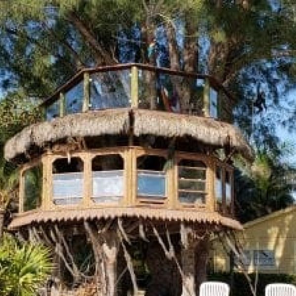 Tree house case back in court