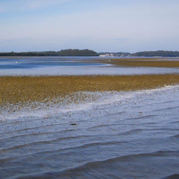 Reel Time: The ups and downs of tides