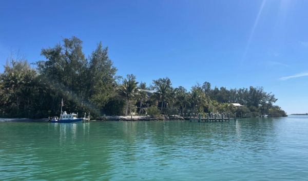 Jewfish seeks fewer restrictions