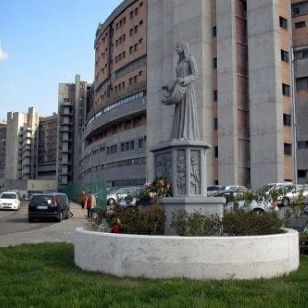 Chef Vinny raises funds for Italian hospital