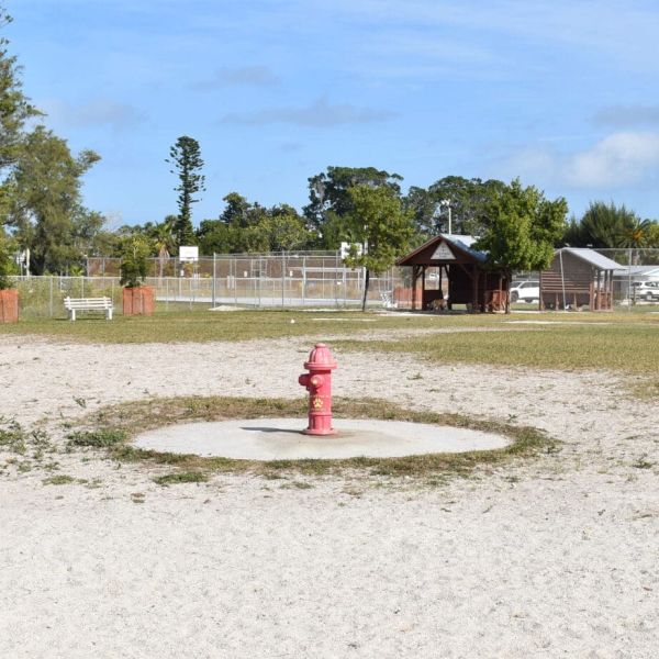 Dog park users seek improvements