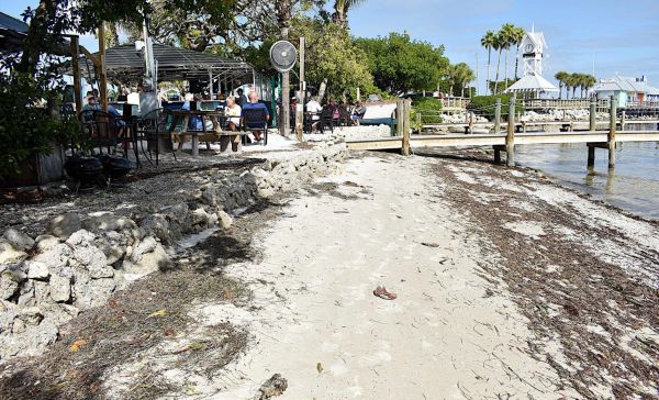 Shoreline project no longer includes concrete wall