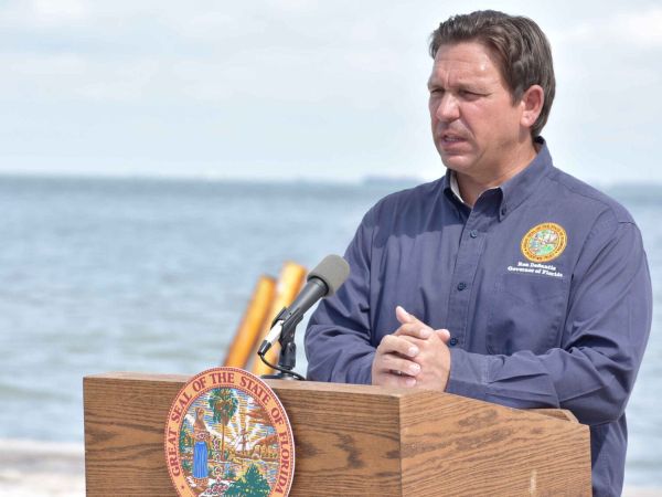 DeSantis&rsquo; DOGE task force may impact Island governments