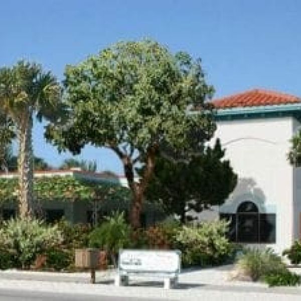 Studio at Gulf and Pine