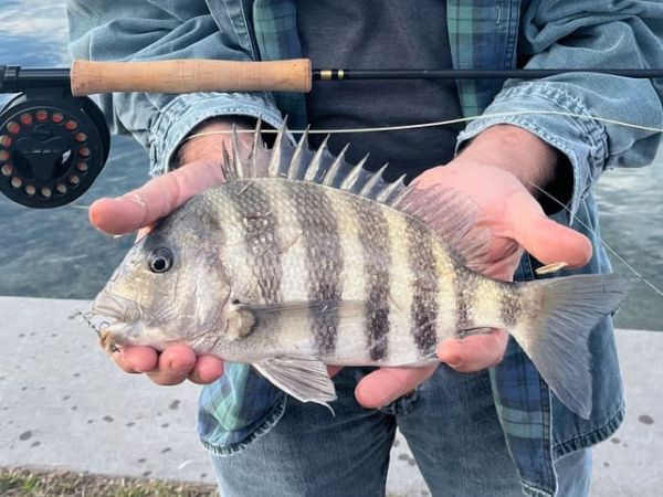 Reel Time: A New Winter Strategy