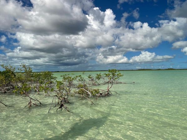 Reel Time: Bahamas fishing