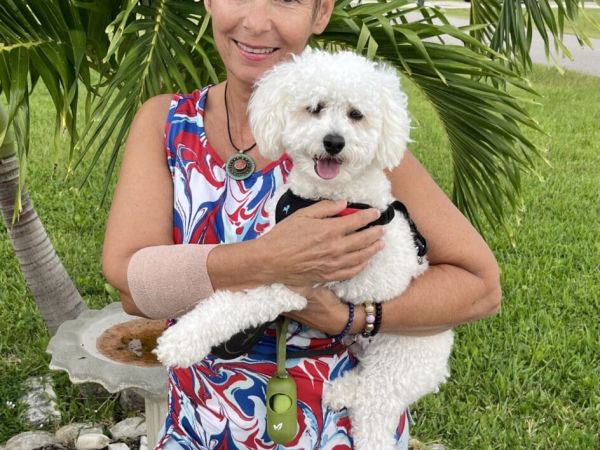 Vicious dog attacks again