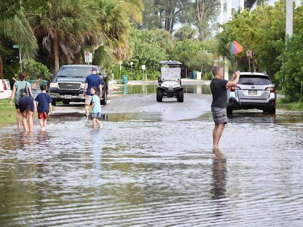 Elsa takes it easy on Anna Maria Island