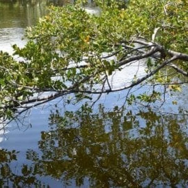 Aeration plans take shape for Spring Lake