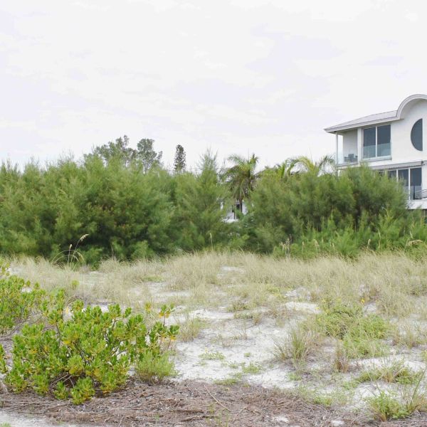 Impact of FDEP permitting order remains to be seen