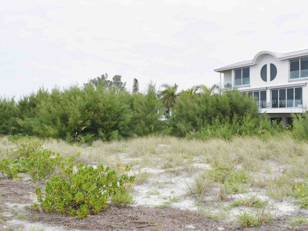 Impact of FDEP permitting order remains to be seen