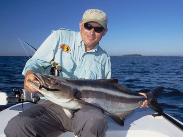 Spring fever? Go for cobia