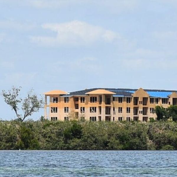 FDEP investigating Aqua&rsquo;s mangrove trimming