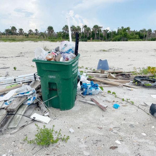 Reel Time: The Great Egmont Key Cleanup