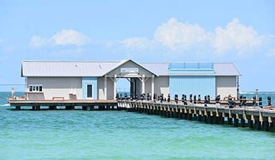 Sean Murphy withdraws his pier lease bid