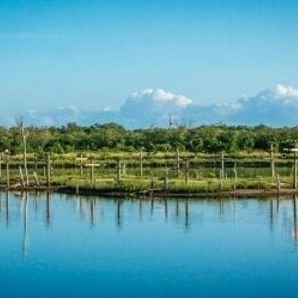 Perico Preserve