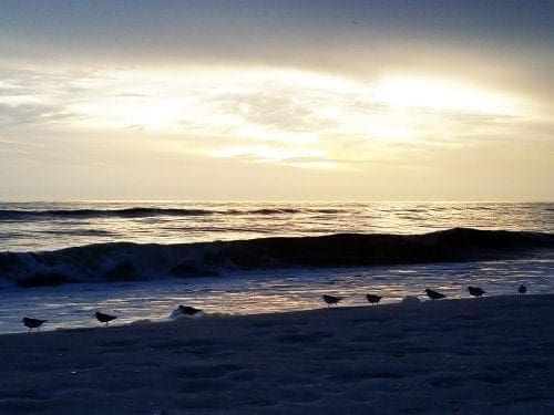 Red tide sunset
