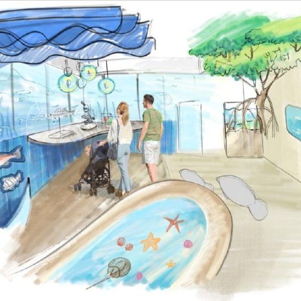 Mote given 2023 deadline to complete City Pier facility