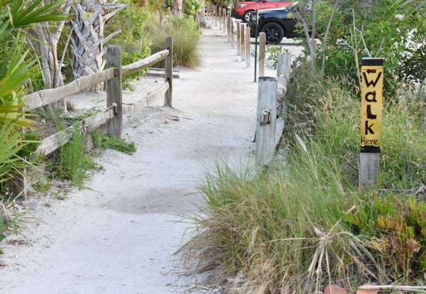 Second Pine Avenue RFP authorized