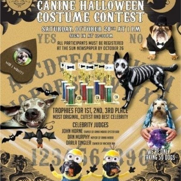 Canine costume contest