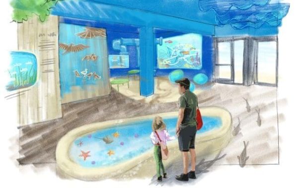 Mote Marine facility opening May 5