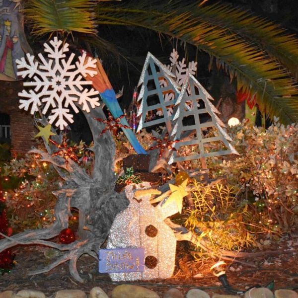 Bright Holiday Lights contestants spread holiday cheer