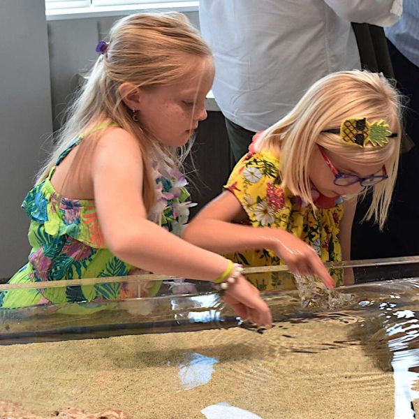 Anna Maria: The Year in Review