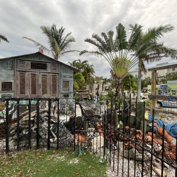 Sea Hagg to be sold at auction