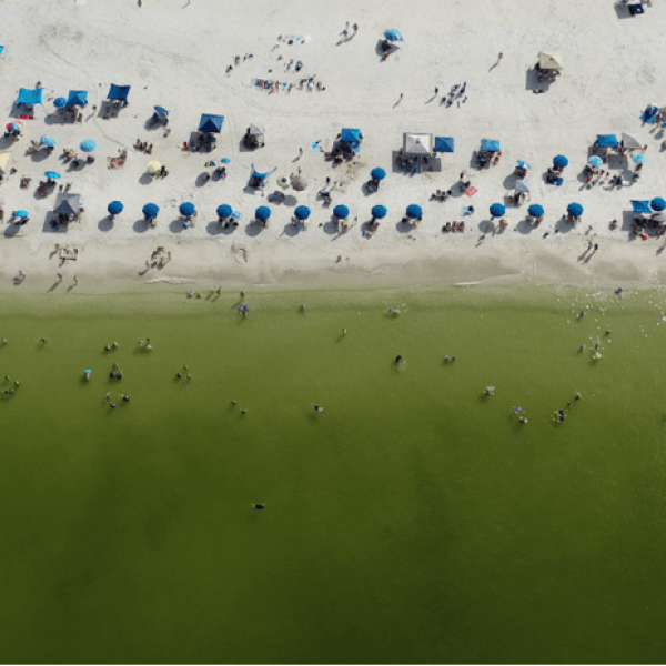 Voters speak out for water