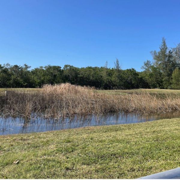 Public access project at FISH Preserve begins in July