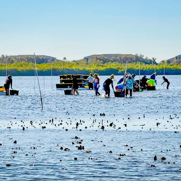 Resolutions that bear fruit