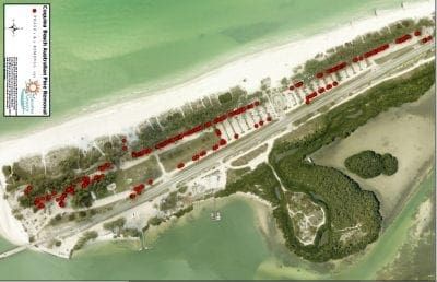 County submits Coquina Beach tree replacement plan