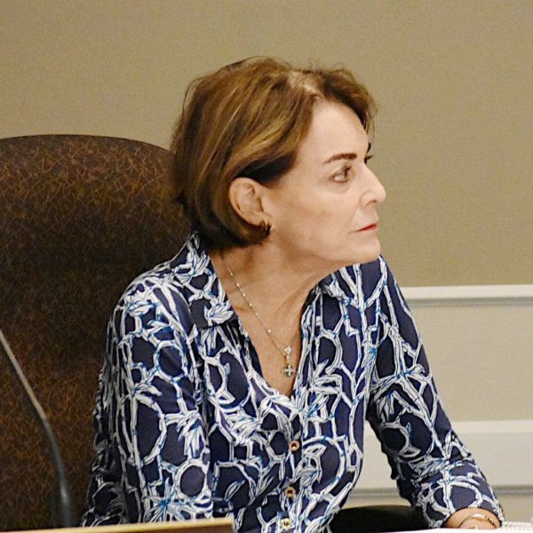 Vetting process enacted for commission appointment