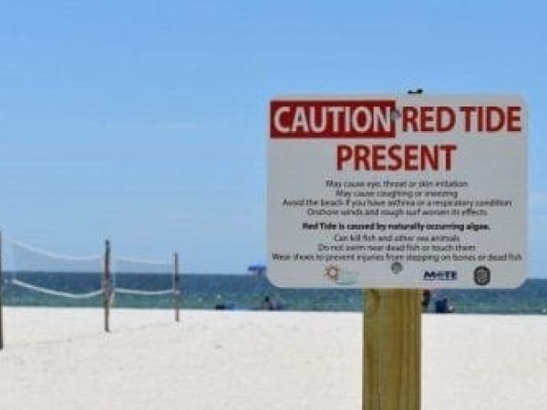 Red tide sign