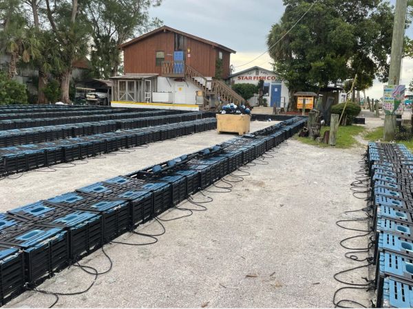 Stone crab season closes