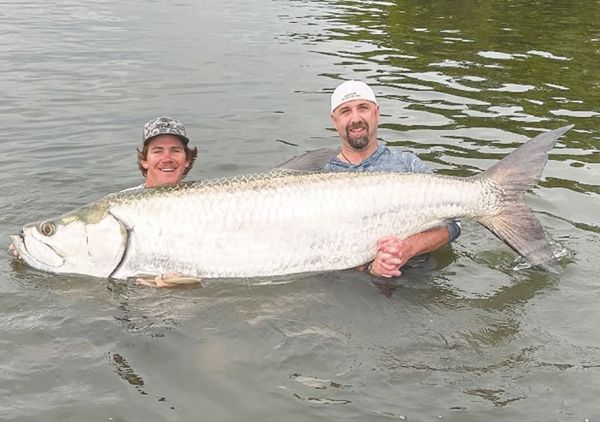 It&rsquo;s tarpon time off Anna Maria Island