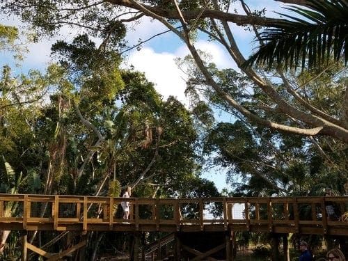 NEST at Robinson Preserve