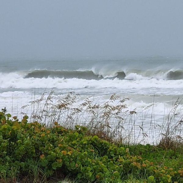 Hurricane Debby leaves AMI soaked