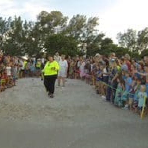 Turtle Watch director Suzi Fox dies