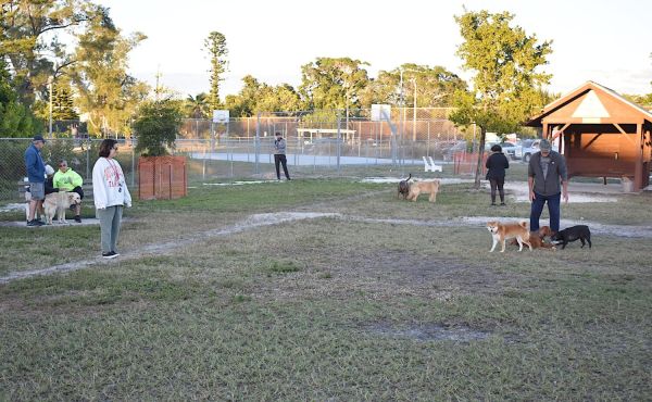 Dog owners, city officials to meet next month