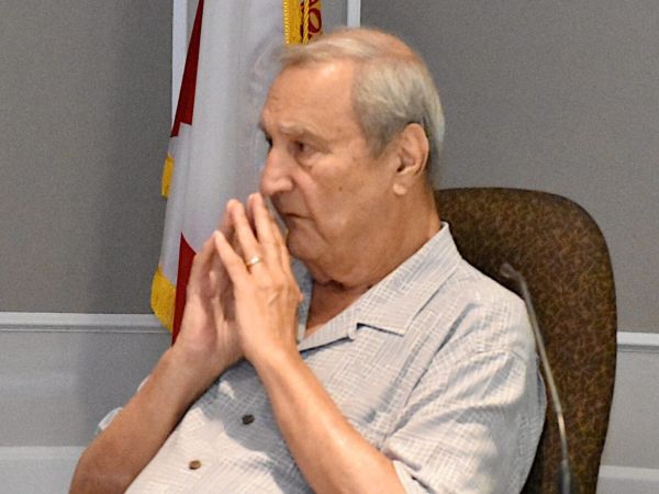 Proposed charter amendments presented as ordinances