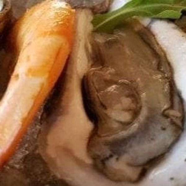 Film to feature local oyster recycling program