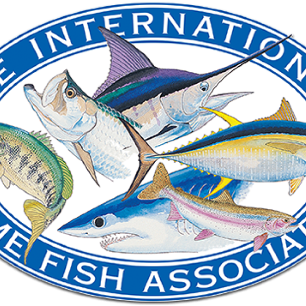 Hurricane recovery grants available for fishing captains, guides