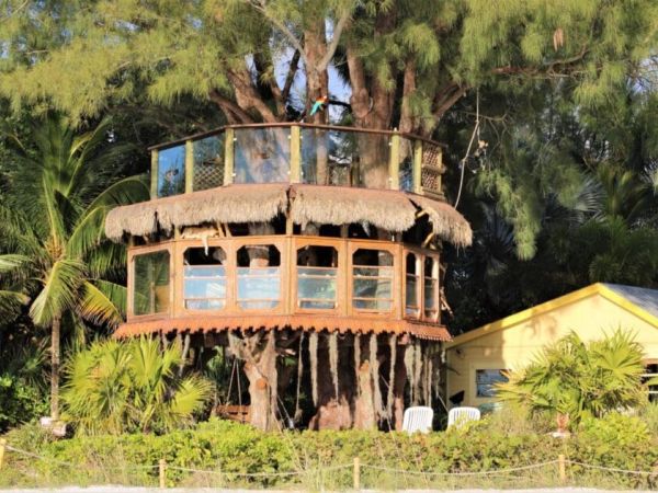 Treehouse owners clash with city over VRC renewals