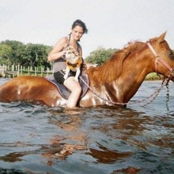 Pinellas County bans water horses